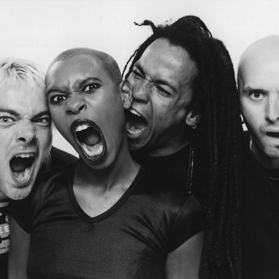 Scunk anansie