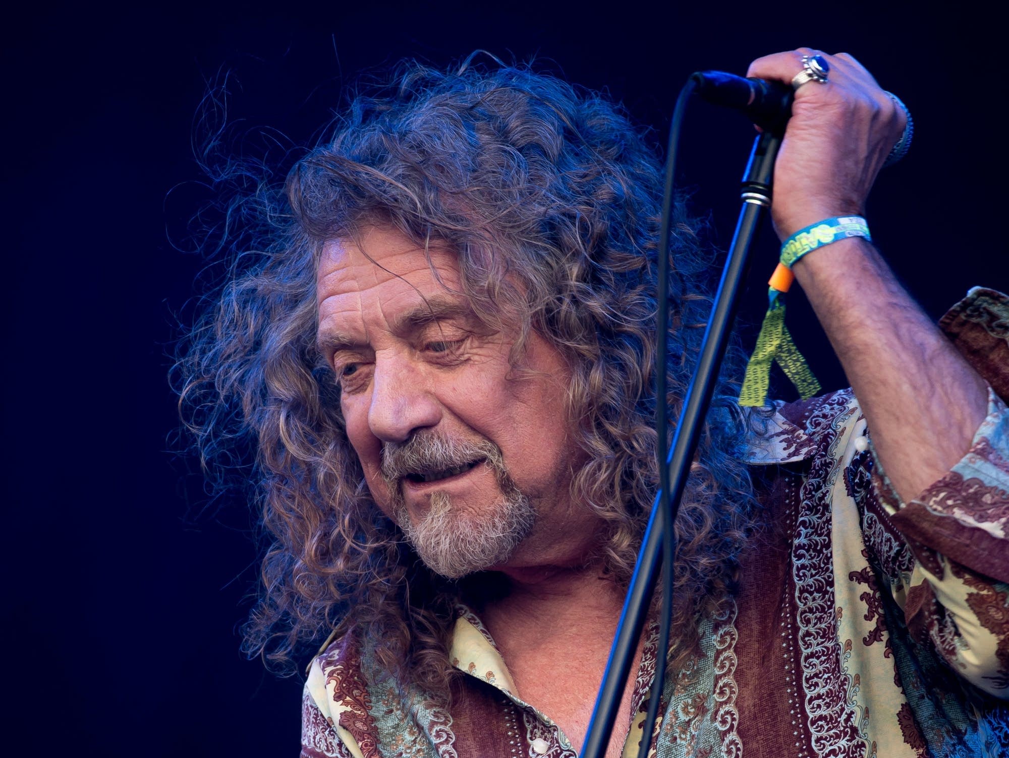 Robert plant